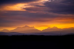 Sunset on the Salish Sea Wildlife Tour From Campbell River, BC